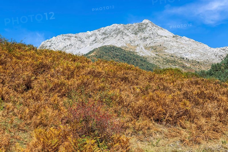 Mountain landscape Guarrinza - La Mina, Aragon Subordan river valley, Parque Natural Valles Occidentales, Hecho, Pyrenees Mountains, Aragon, Spain