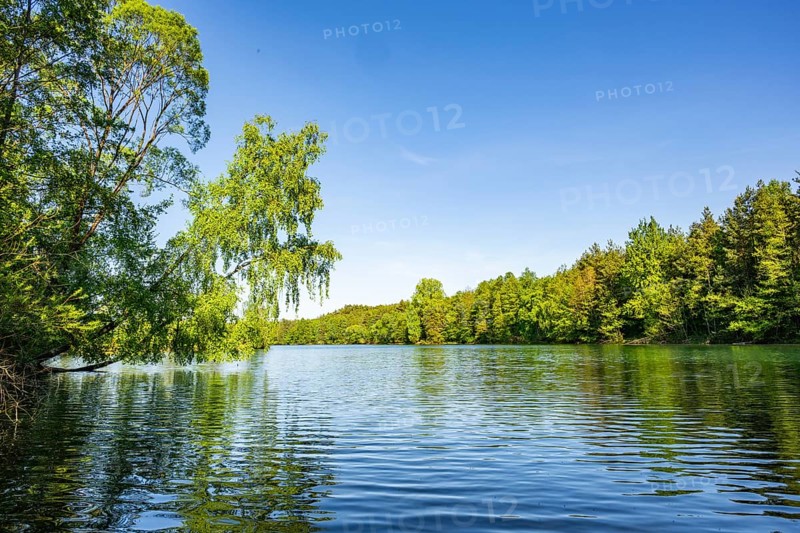 Landscape of a little lake on a sunny day in spring, Upper Palatinate, Bavaria, Germany
