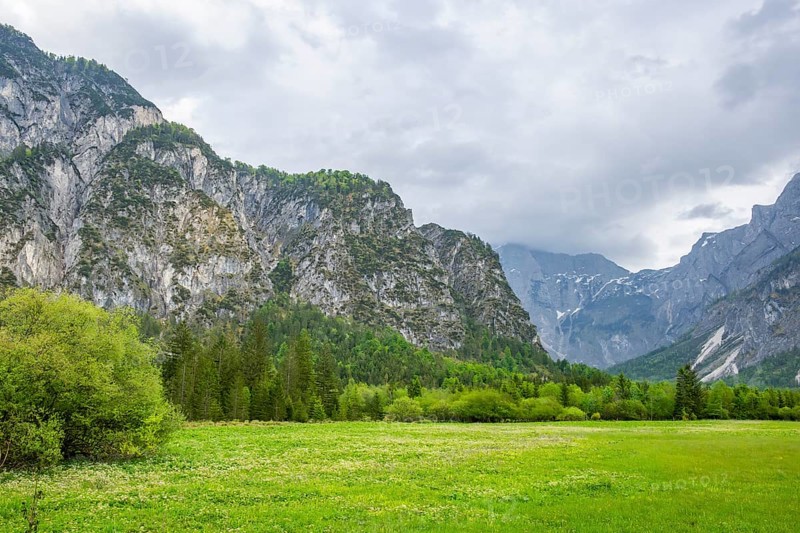 Spring meadow with the Alps in the background on a rainy day, Traunkirchen, Salzkammergut, Austria