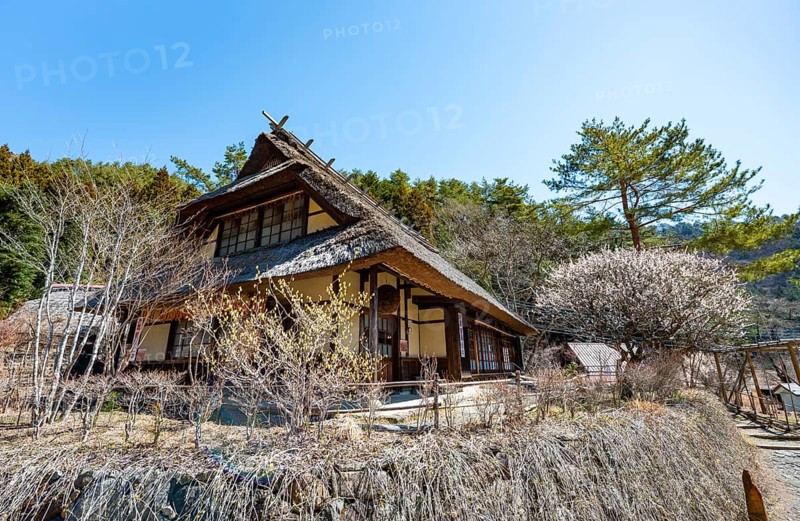 Iyashinosato open-air museum, old Japanese village with traditional houses, Fujikawaguchiko, Saiko, Japan