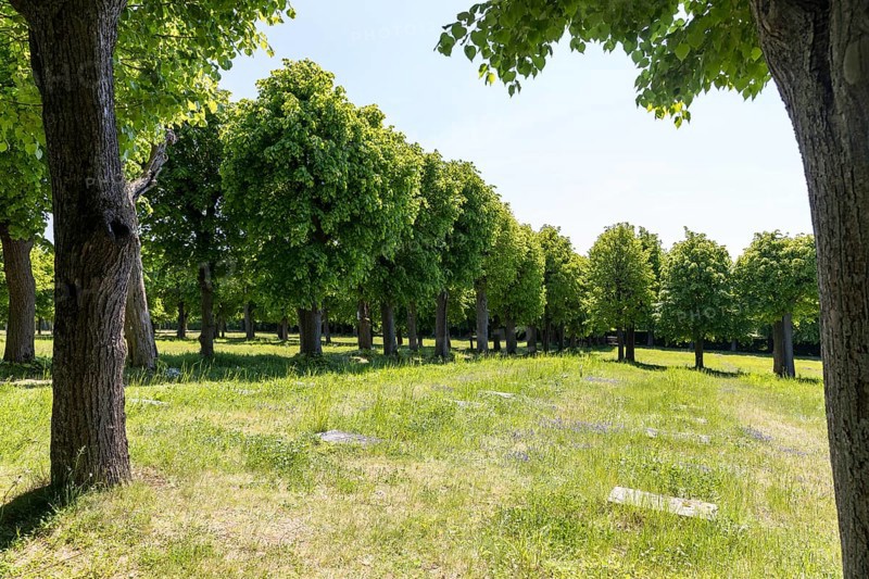 Tombstones on the Gottesacker, the historic cemetery of the Herrnhuter Brüdergemeinde, Herrnhut, Upper Lusatia, Saxony, Germany