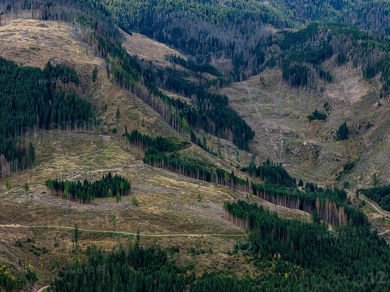 Logging, clearing, clearcut, timber industry, logging, mountain landscape, aerial view, autumn, cloudy, Paneveggio, Trentino, Dolomites