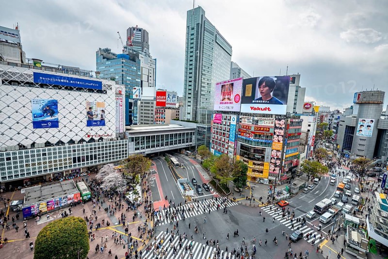 Modern houses with colorful neon signs and large road intersection, Shibuya Crossing from above, crowd at crossroads with crosswalks, Shibuya, Tokyo, Japan