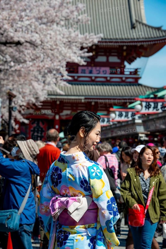 Young Japanese woman wearing kimono surrounded by numerous visitors on Nakamise-dori shopping street, Cherry Blossom, Asakusa Shrine or Senso-ji Temple, Buddhist temple complex, Asakusa, Tokyo, Japan