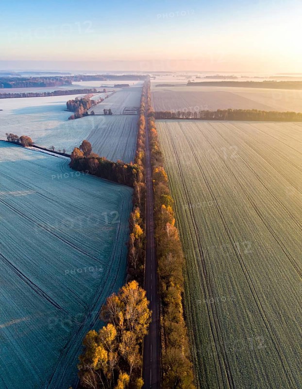 Bird Eye Perspective of Frost Covered Farmland. Seasonal Agricultural Scenery, winter and autumn scene, blue sky with golden light at sunrise, AI generated