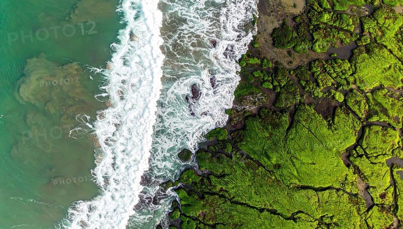 Green algae on the sandy shore of an ocean. Fascinating phenomenon of wild coastline with green plants, white sands, stone, blue water and cliffs, Aerial view of a beautiful abstract unreal and textured landscape, AI generated