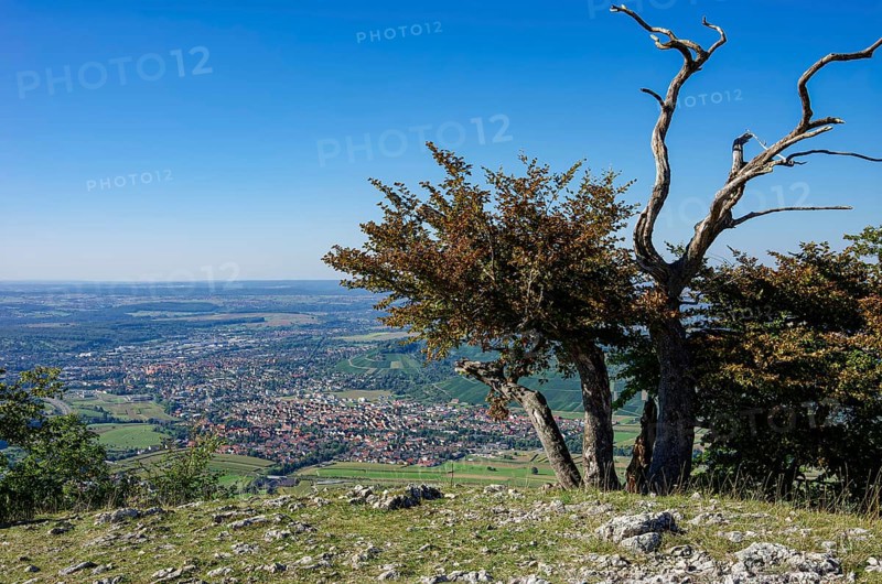 Picturesque scenery on the eaves of the Swabian Jura near Olgafels on Rossfeld in Metzingen-Glems, Baden-Württemberg, Germany