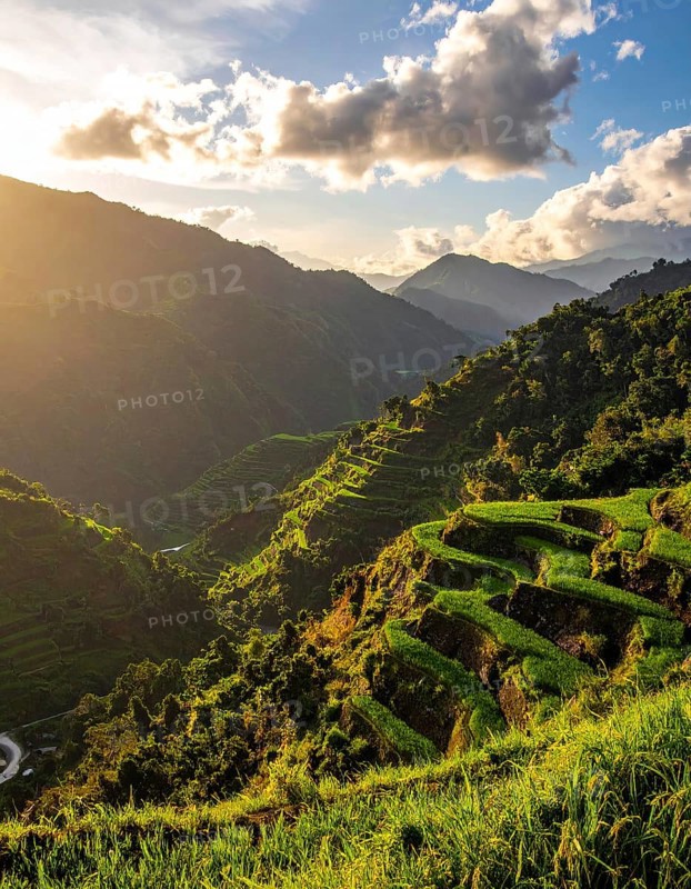 Early morning light bathes Philippines rice terraces cascading down mountain slopes, beautiful golden light, AI generated