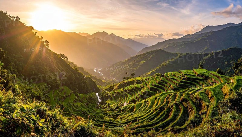 Early morning light bathes Philippines rice terraces cascading down mountain slopes, beautiful golden light, AI generated