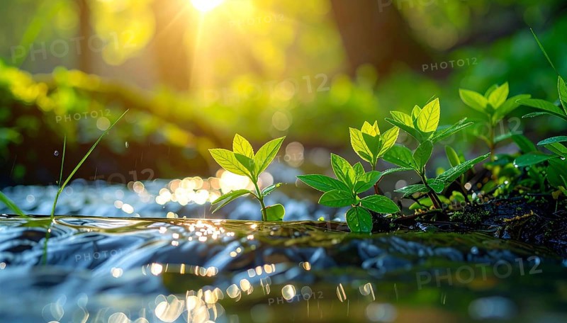 Beautiful spring detailed stream of fresh water, vibrant blooming young green plants, wallpaper banner for springtime and summer nature concept, AI generated
