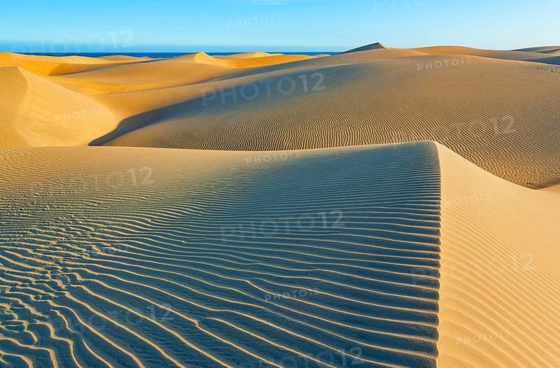 Sand dunes, Maspalomas, Playa del Ingles, Gran Canaria, Canary Islands, Spain