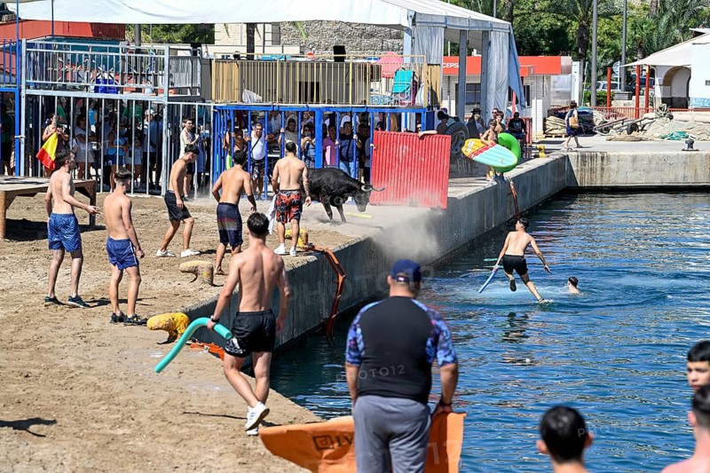 Bous a la Mar Fair, in English Bulls in the Sea, Bullfighting, Javea or Xàbia, Alicante Province, Comunidad Valenciana, Spain