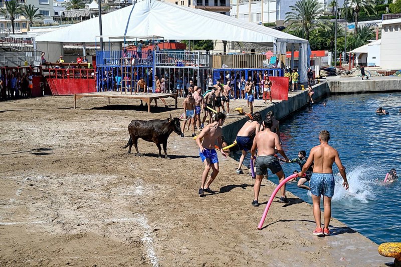 Bous a la Mar Fair, in English Bulls in the Sea, Bullfighting, Javea or Xàbia, Alicante Province, Comunidad Valenciana, Spain