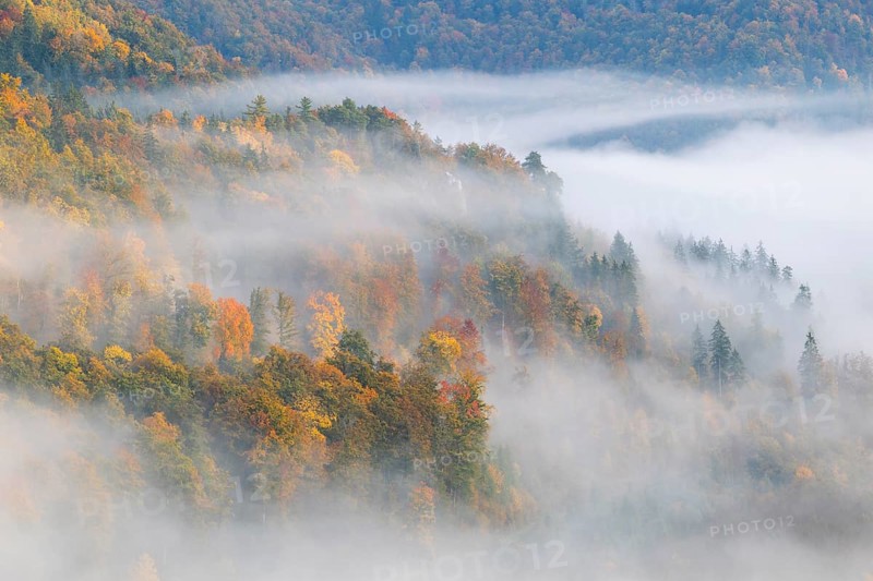 View from the Knopfmacherfelsen into the Danube valley, mixed forest, autumn colours, fog, autumn, Fridingen, Danube valley, Upper Danube nature park Park, Baden-Württemberg, Germany