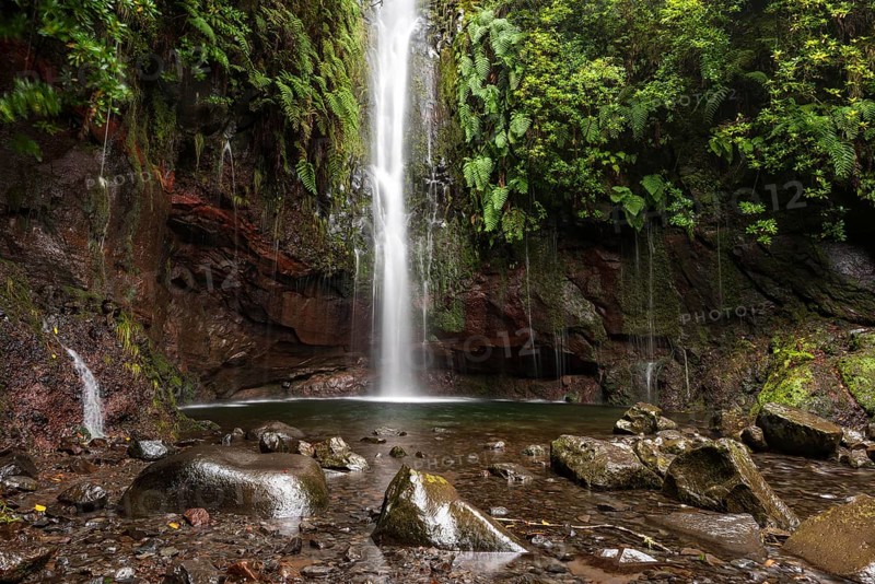 A large waterfall and many small watercourses pour down onto the rocks in the mystical 25 Fontes basin covered in ferns and moss, Levada das 25 Fontes (PR 6), Rabaçal nature reserve, Madeira, Portugal