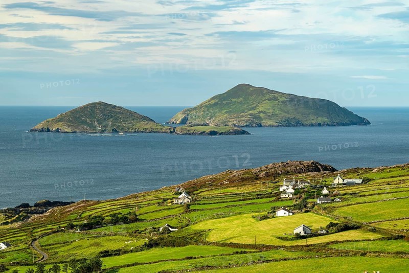 Elevated view over green meadows bordered by natural stone walls and typical cottages to the Atlantic Ocean with the islands of Scariff and Seenish, Ring of Kerry, Iveragh Peninsula, County Kerry, Ireland