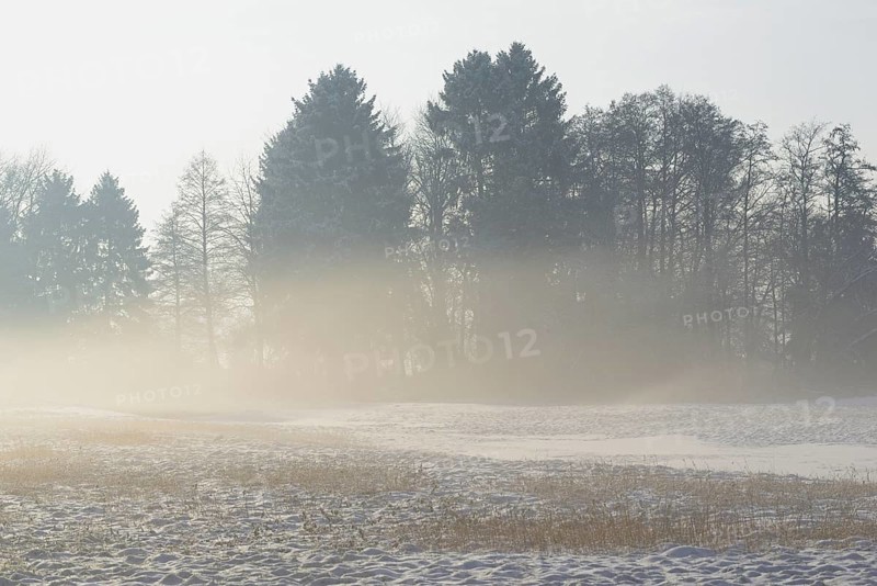 Winterlandschaft, aufsteigender Bodennebel im Licht der Morgensonne, Nordrhein-Westfalen, Deutschland