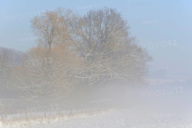Winterlandschaft, Bodennebel steigt vor schneebedeckten Bäumen auf, blauer Himmel, Nordrhein-Westfalen, Deutschland