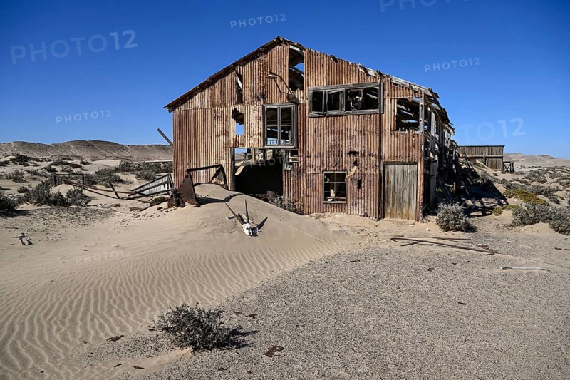 Schädel einer Oryx-Altilope (Oryx gazella) vor einer Ruine der ehemaligen Diamantenstadt Pomona, Diamentensperrgebiet, bei Lüderitz, Region Karas, Namibia