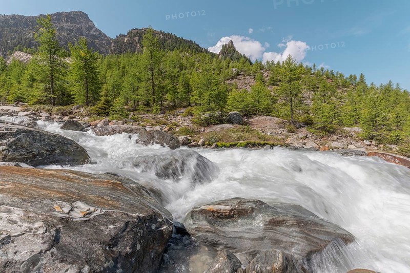 A rushing river cascades over smooth stones, surrounded by lush green trees and majestic mountains. The bright blue sky adds to the peaceful summer atmosphere. Grachen, Viege, Valais, Swiss