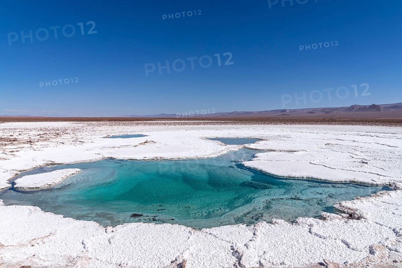 Coloured salt formations at the Lagunas Escondidas de Baltinache, Atacama Desert, Toconao, San Pedro de Atacama, Región de Antofagasta, Chile