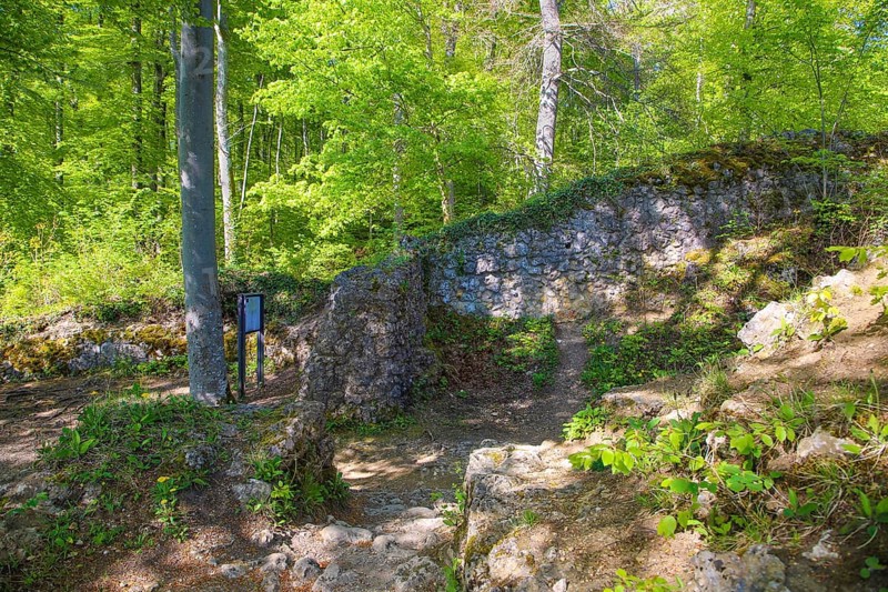 Ruin of Alter Lichtenstein near Lichtenstein Castle, eaves of the Swabian Alb, trees, deciduous forest, Honau, municipality of Lichtenstein, Baden-Württemberg, Germany