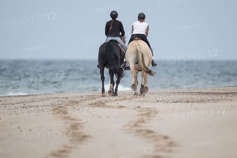 Two riders on the beach, near Hvide Sande, North Sea, Denmark