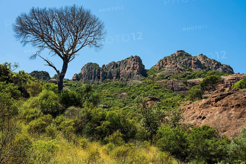 Rocher du roquebrune, Roquebrune-sur-Argens, near Saint-Raphaël, Massif de l'Esterel, Esterel Mountains, Département Var, Cote d'Azur, Provence-Alpes-Côte d'Azur, France