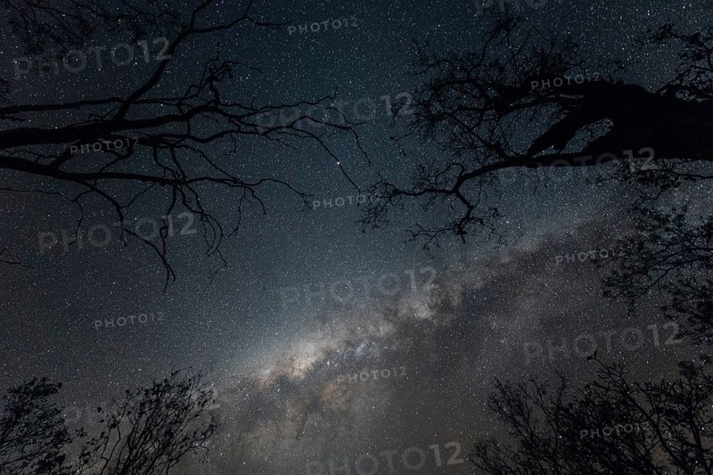Milky Way Australian Outback, Australia