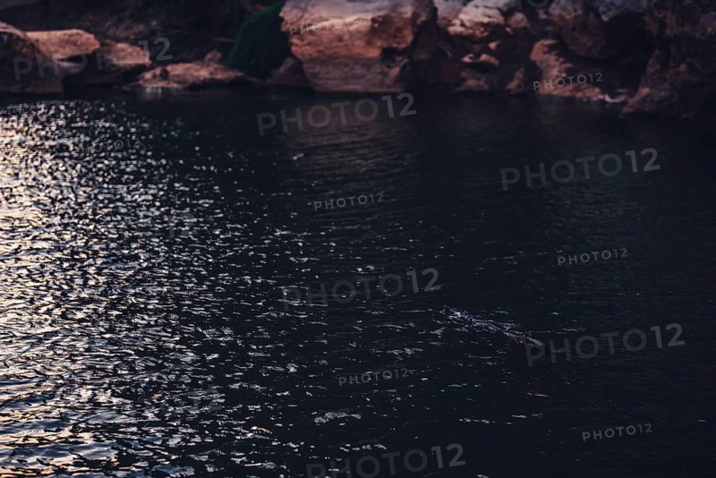 Special light atmosphere in the outback at Windjana Gorge National Park in Australia