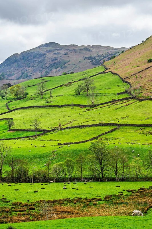 Farms in Lake District National Park, Cumbria, England, United Kingdom