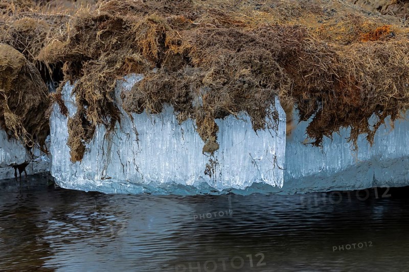 Permafrost, ice below the surface, Aventdalen, Longyearbyen, Spitsbergen, Svalbard