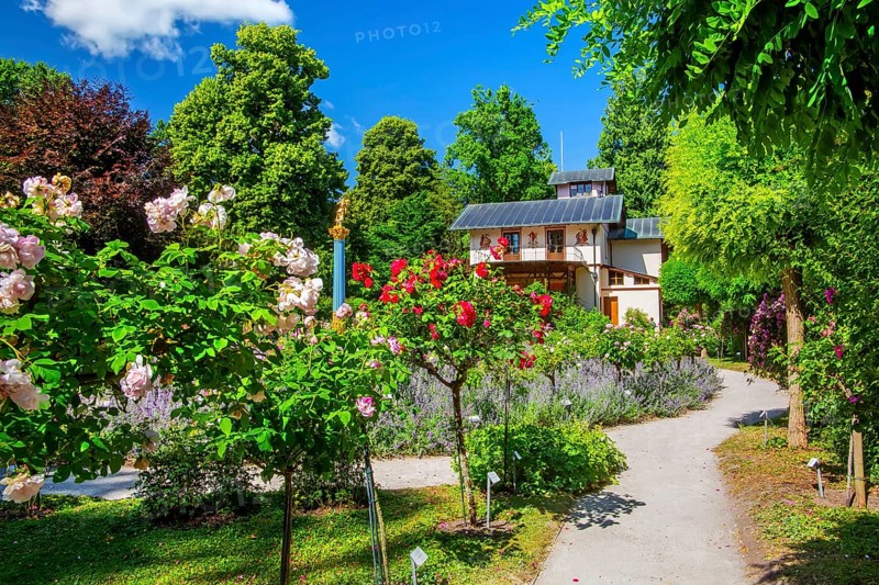 Rosarium with blooming roses in front of the Pompeian-Bavarian Casino on the Rose Island in Lake Starnberg, Feldafing, Upper Bavaria, Bavaria, Germany