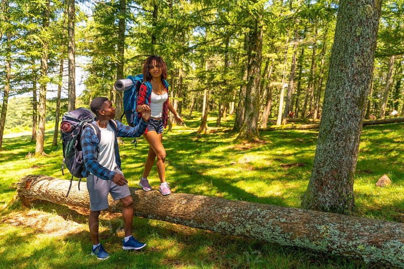 Hikers holding hands and carefully walking on a fallen tree trunk while enjoying a hike in a beautiful forest