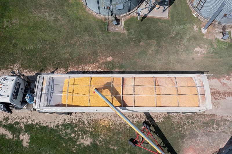 Martin, Michigan - Corn is loaded onto a truck from grain storage bins in west Michigan