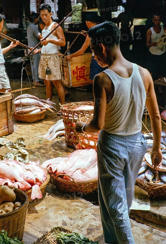 Weighing baskets of fish at the old fish market, Johor Bahru, Malaysia, Southeast Asia 1963