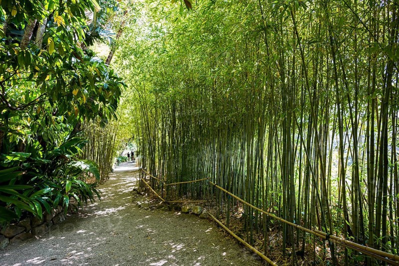 Park, Villa Ephrussi de Rothschild, Saint-Jean-Cap-Ferrat, Cap Ferrat, Alpes Maritimes, Provence Alpes Cote d'Azur, French Riviera, South of France, France