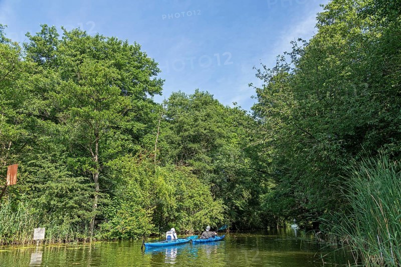 Canal between Leppinsee and Woterfitzsee, canoes, trees, Müritz National Park, Mecklenburg Lake District, Mecklenburg-Western Pomerania, Germany