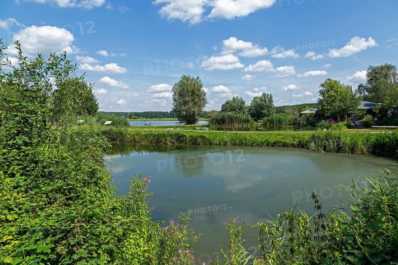 Fish ponds, Fischers Land Boek, Mecklenburg Lake District, Mecklenburg-Western Pomerania, Germany
