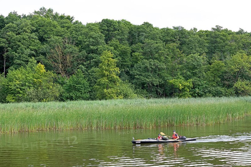 Canoe, Zotzensee, Mecklenburg Lake District, Mecklenburg-Western Pomerania, Germany