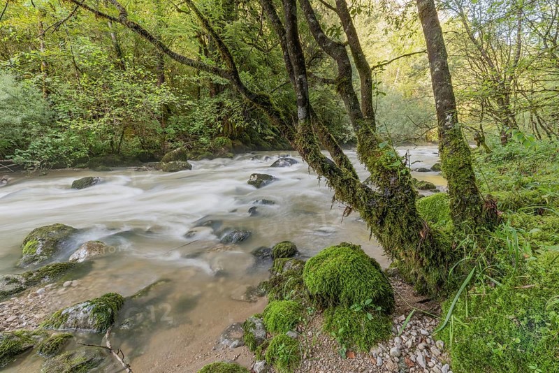 A river flows through a lively forest with smooth rocks that are partially submerged in the water. The sunlight filters through the trees and creates a peaceful atmosphere in the natural surroundings. Jura, France
