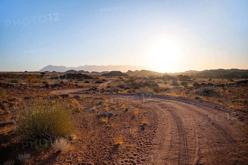 Sandy track, desert landscape in the evening light at sunset, backlit, Brandberg, Erongo, Damaraland, Namibia