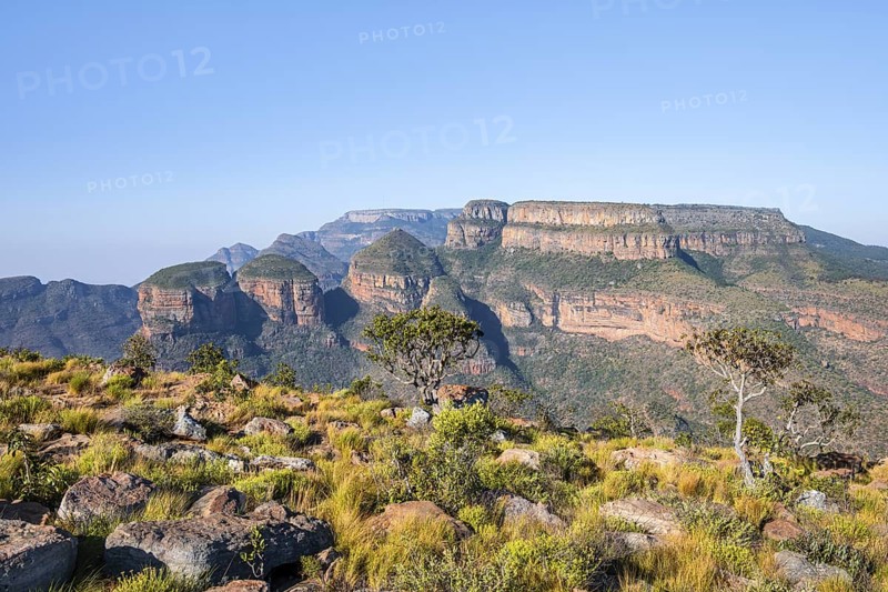Blyde River Canyon with Three Rondawels peak, view of canyon and table mountains, canyon landscape, Three Rondavels Viewpoint, Panorama Route, Mpumalanga, South Africa