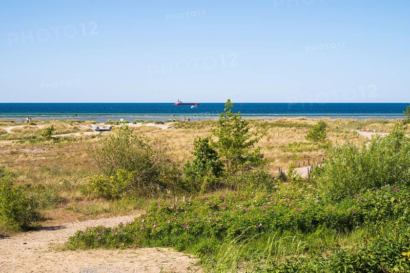 Nature experience area dune landscape, beach, coast, Laboe, Baltic seaside resort, fjord, Baltic Sea, North Frisia, Schleswig-Holstein, Germany