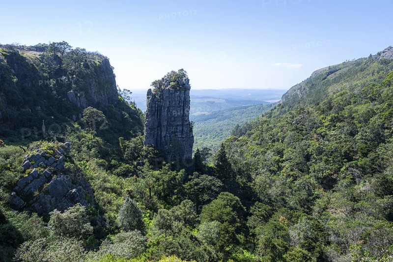 Rock needle in a densely forested canyon, Pinnacle Rock, view over canyon landscape, near Graskop, Mpumalanga, South Africa