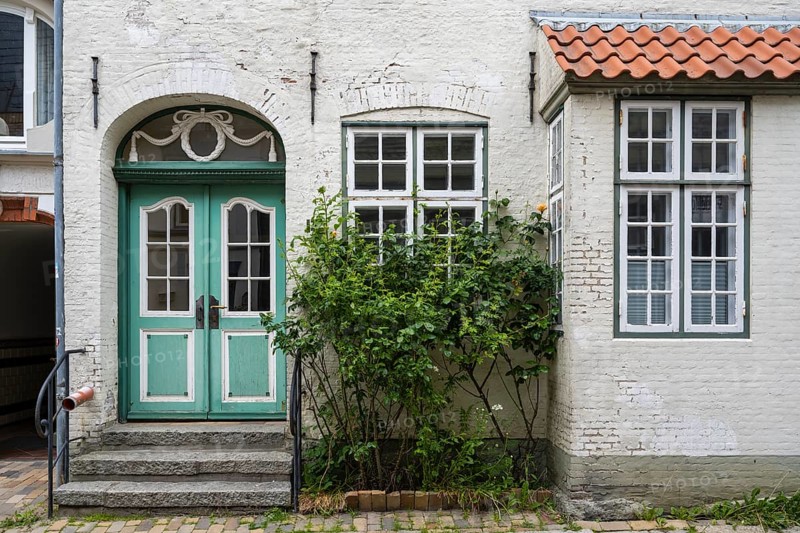 Roses in front of an old house, lattice window, Old Town, Husum, North Frisia, Schleswig-Holstein, Germany
