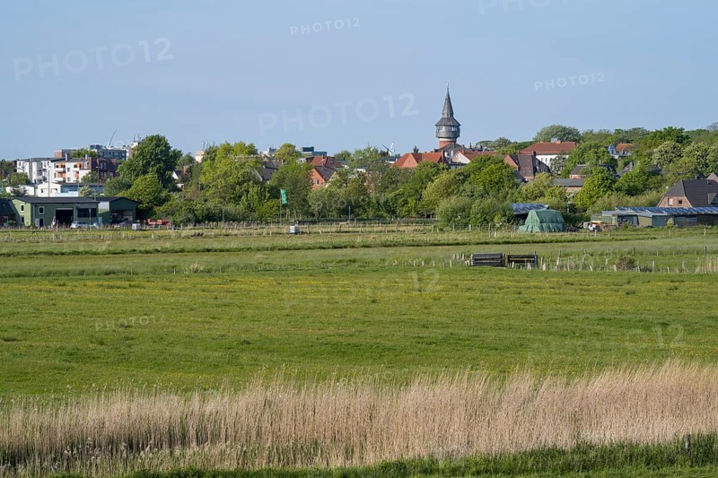 Meadows and fields, water tower, Dockkoog, Husum, North Frisia, Schleswig-Holstein, Germany