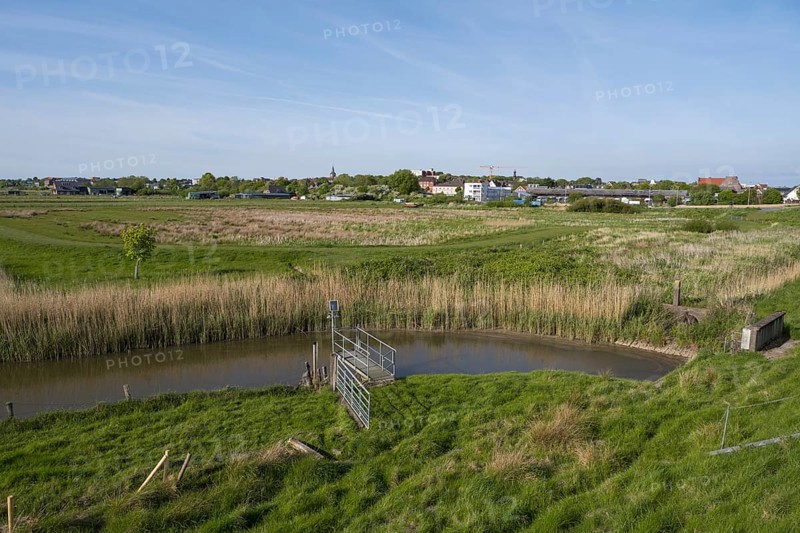 Siel in den Wiesen, Dockkoog, Husum, North Frisia, Schleswig-Holstein, Germany