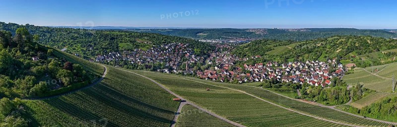 Wide angle panorama with a village surrounded by vineyards and lush hills, Uhlbach, near Stuttgart, Neckar Valley, Baden-Württemberg, Germany