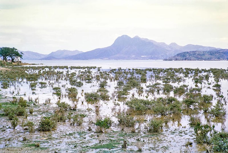 Coastal landscape Tai Po Hoi harbour, New Territories, Hong Kong, Asia, 1964